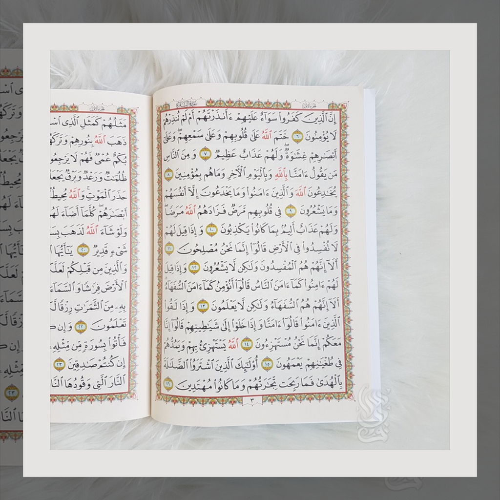30 Separate Juz Quran Set With Case