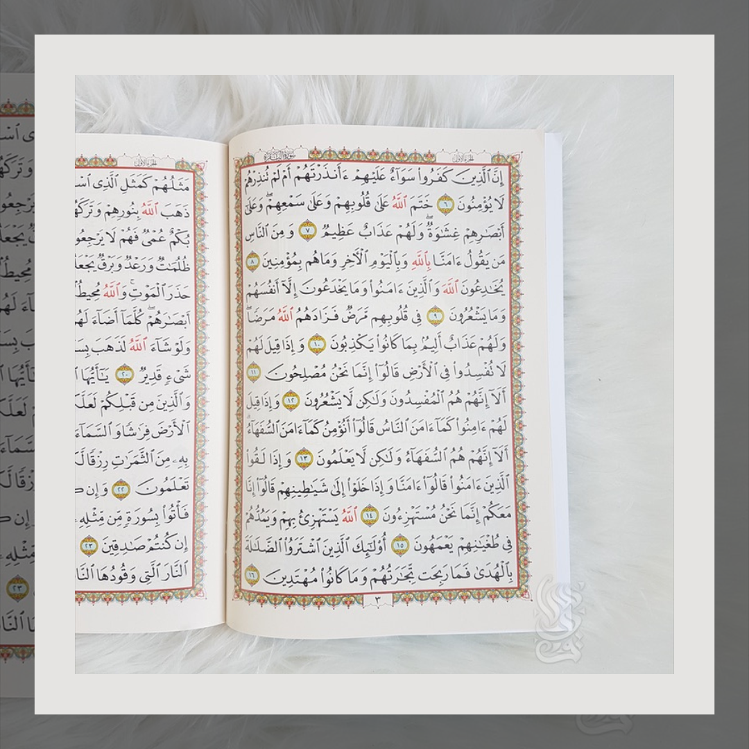 30 Separate Juz Quran Set With Case